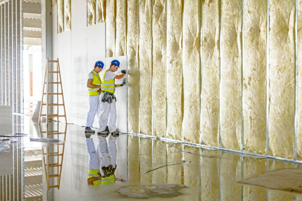 Trusted Colonial Heights, TN Insulation Experts